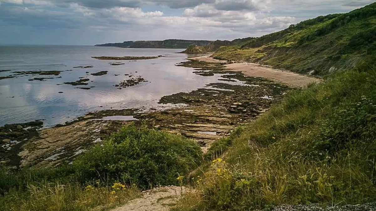 Secluded Beach Exploration