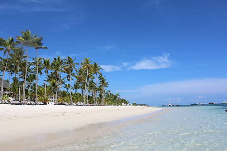 Lush Palm-Lined Shoreline
