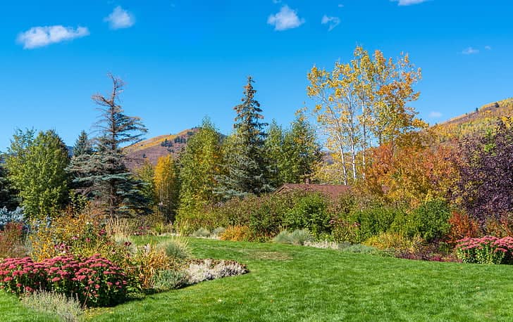 Alpine Garden