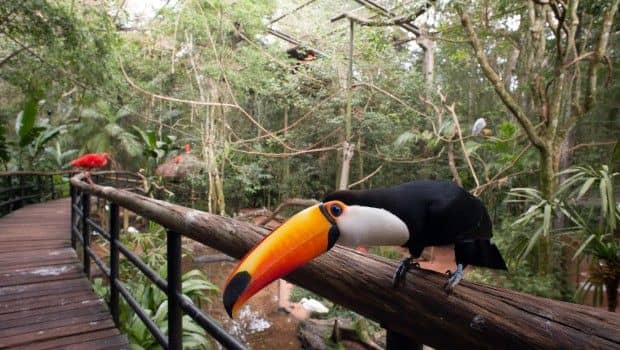 Birdwatching Haven