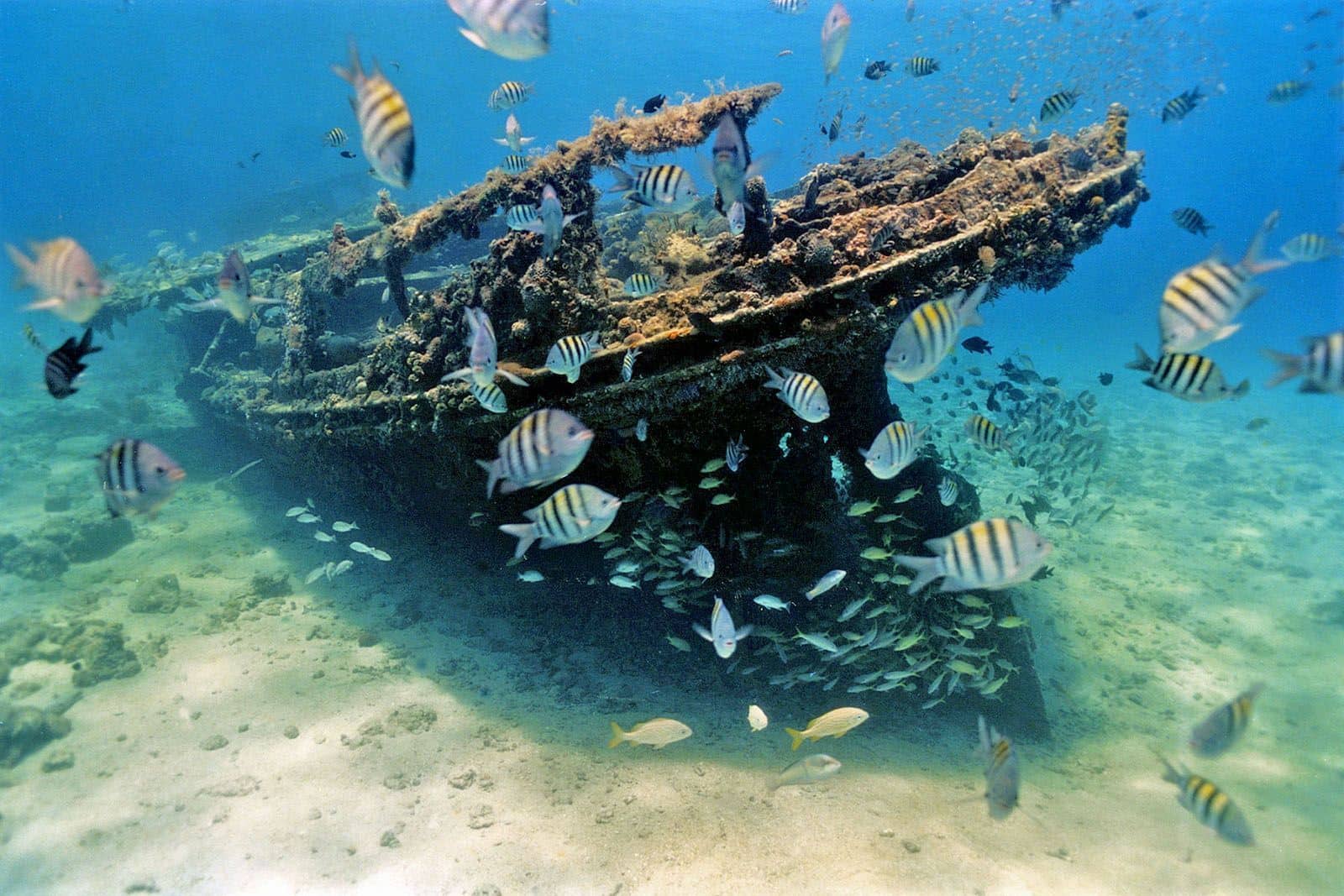 Shipwreck Diving & Snorkeling