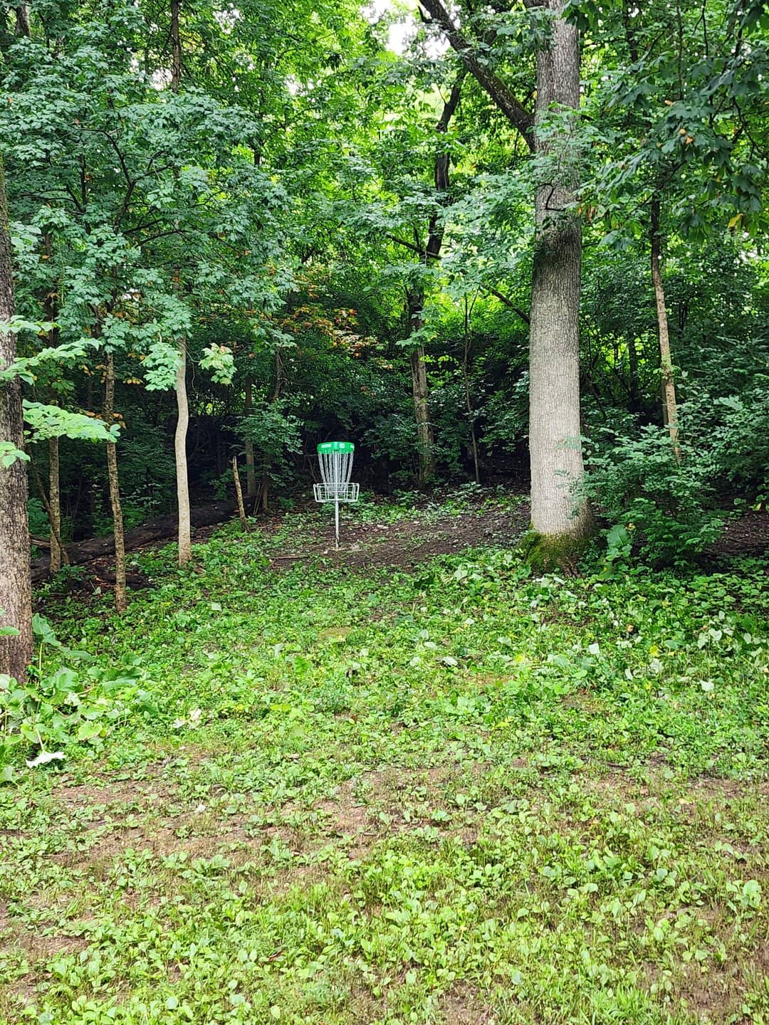 Disc Golf Course