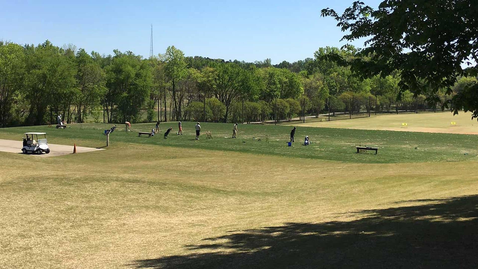 Expansive Practice Areas