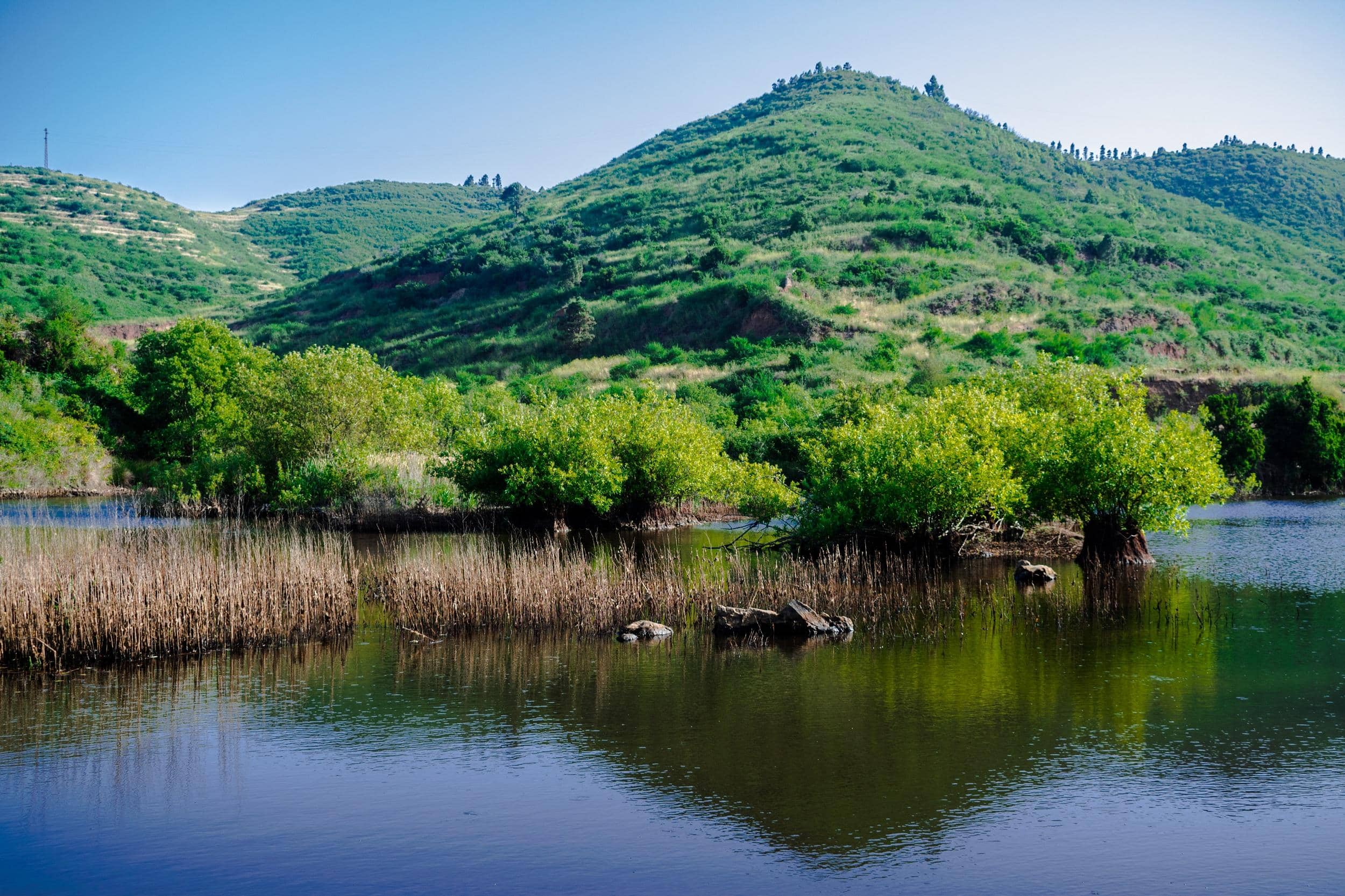 Diverse Climatic Zones