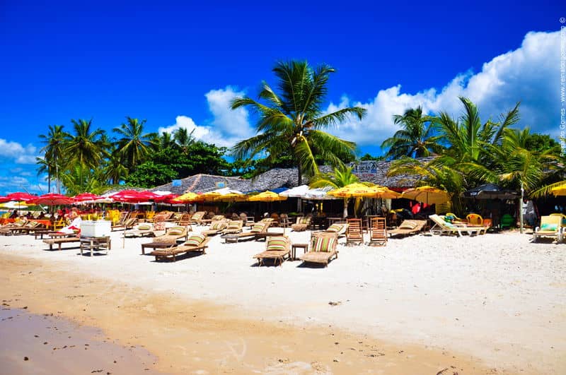 Beachfront Bars & Vendors