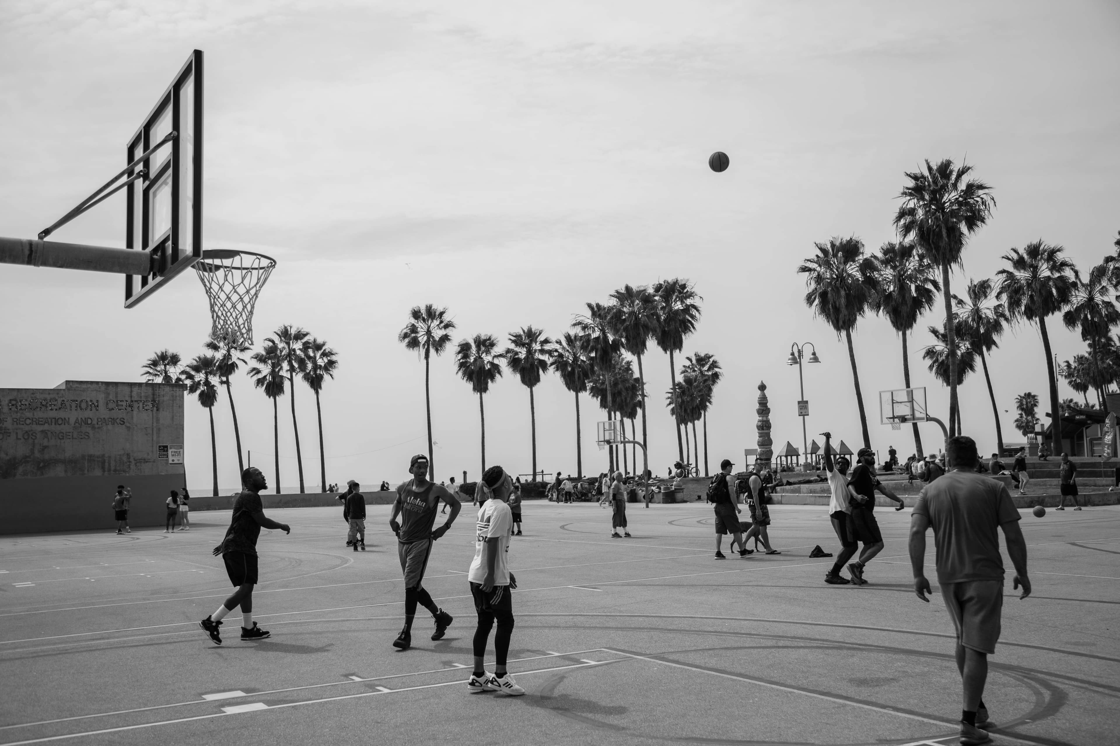 Basketball Courts
