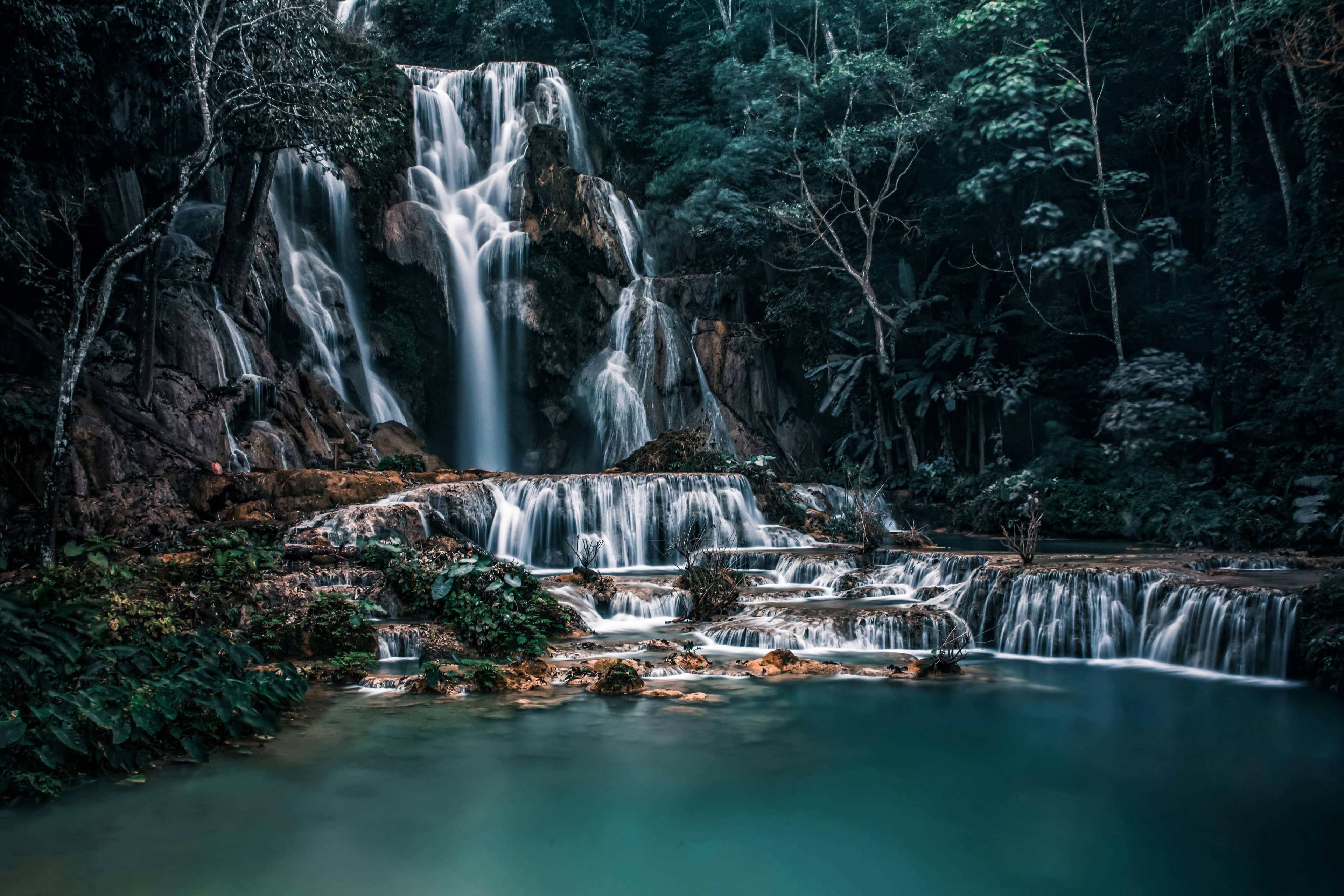 Dream Forest Pond & Waterfall
