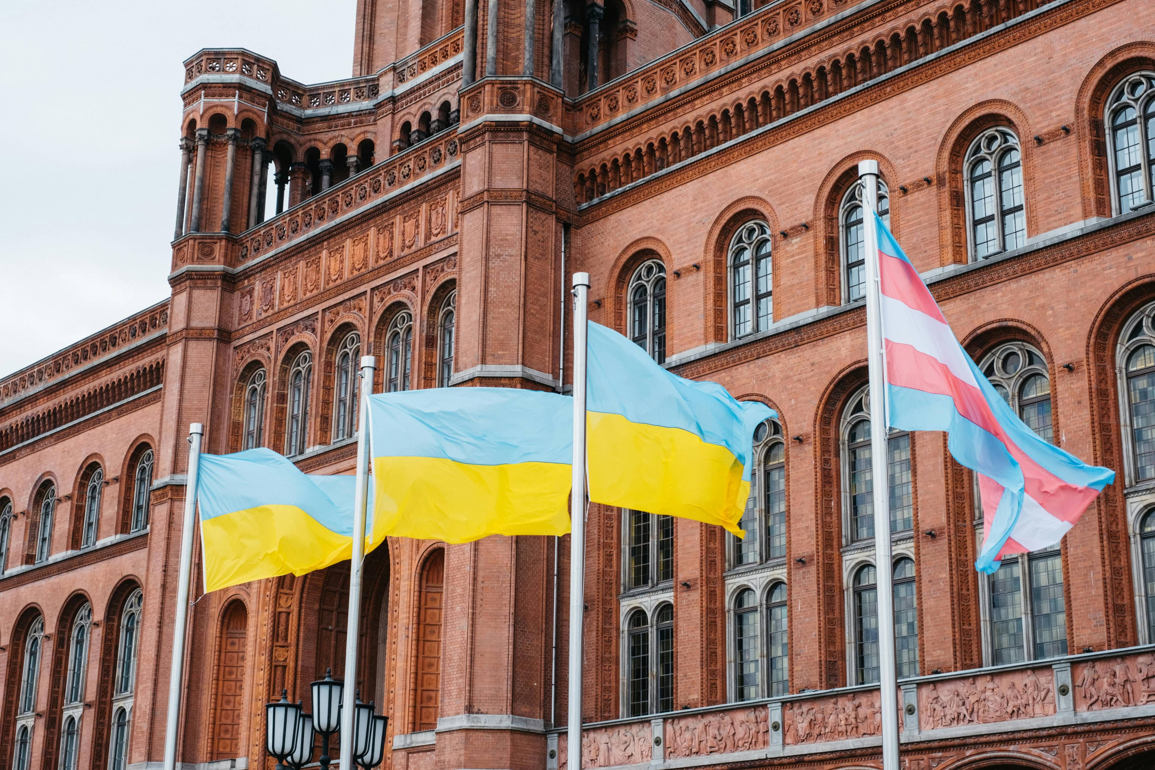 Rainbow Flag Display