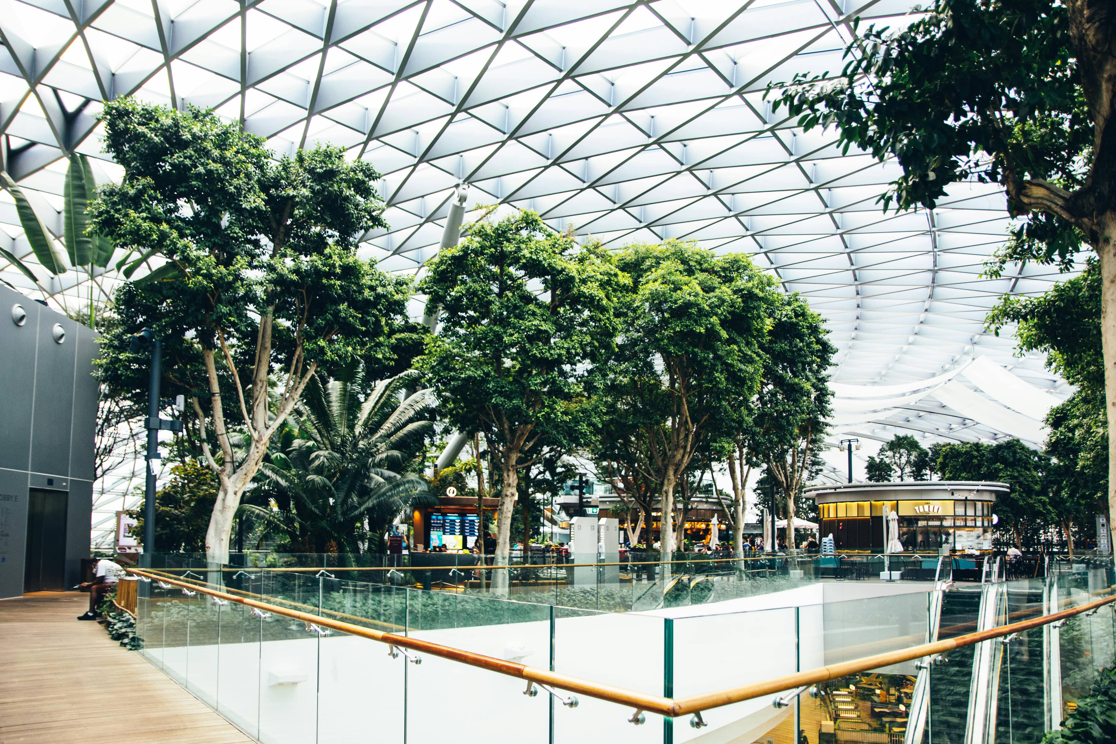 Indoor Greenery