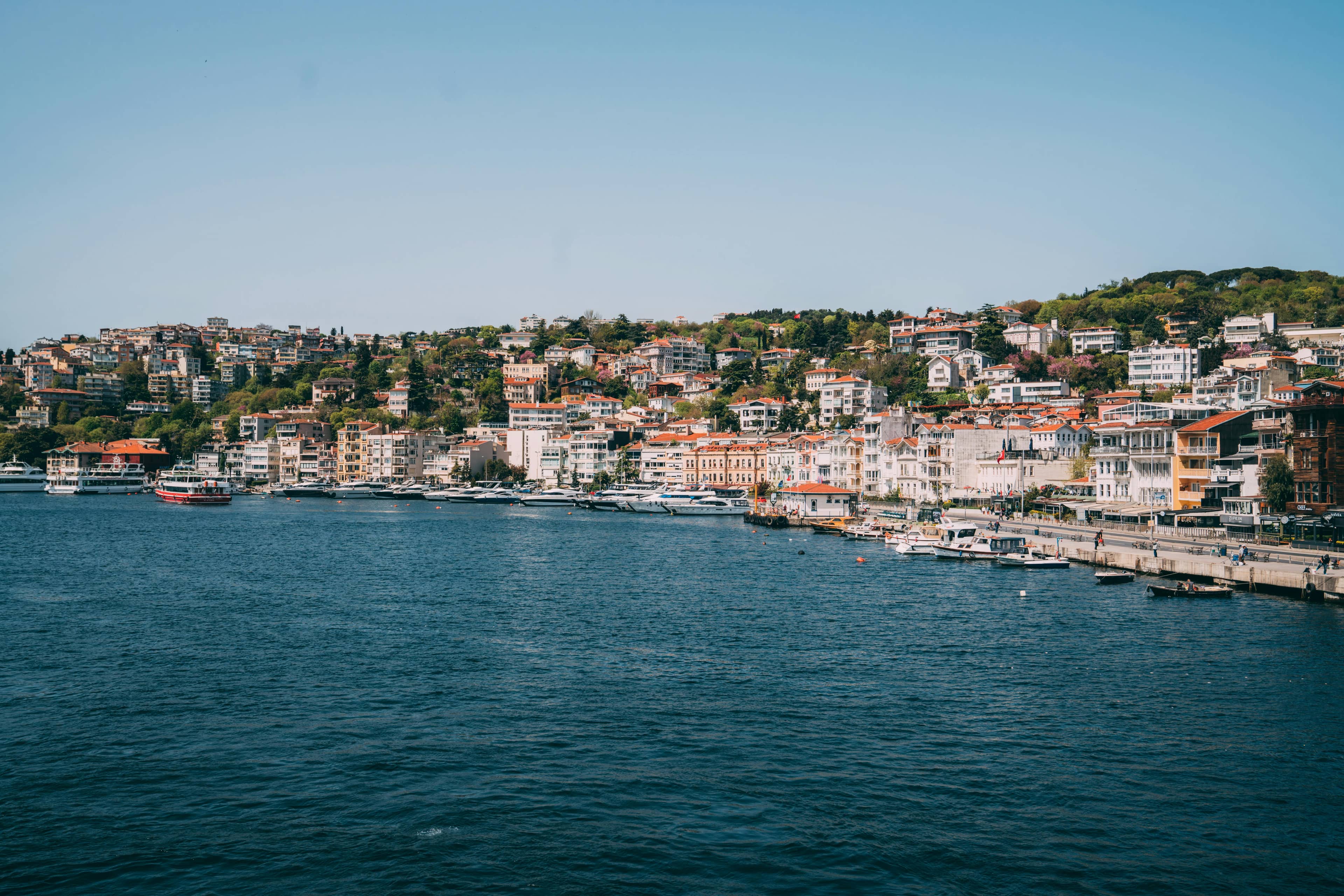 Bosphorus Views