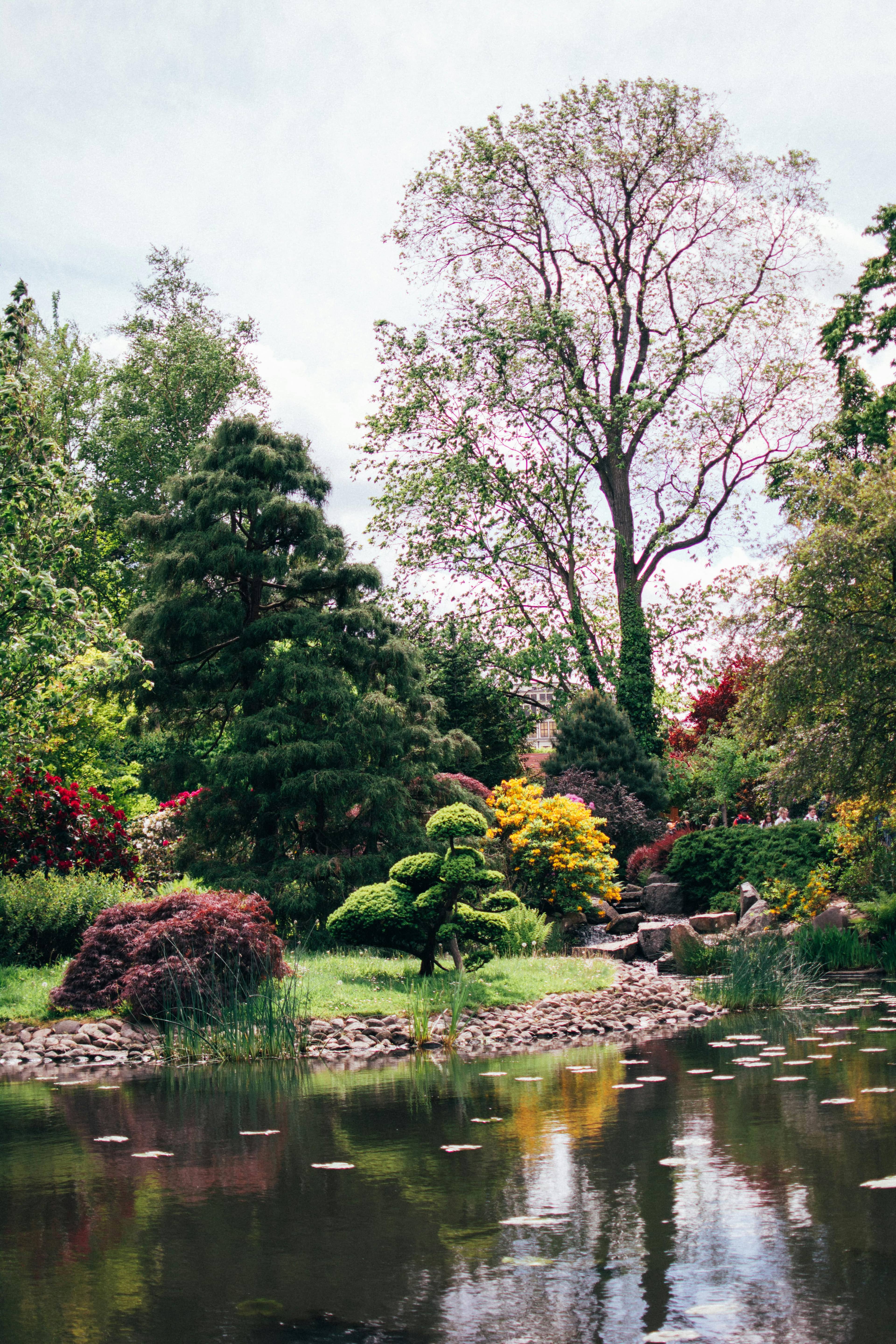 Manicured Parkland
