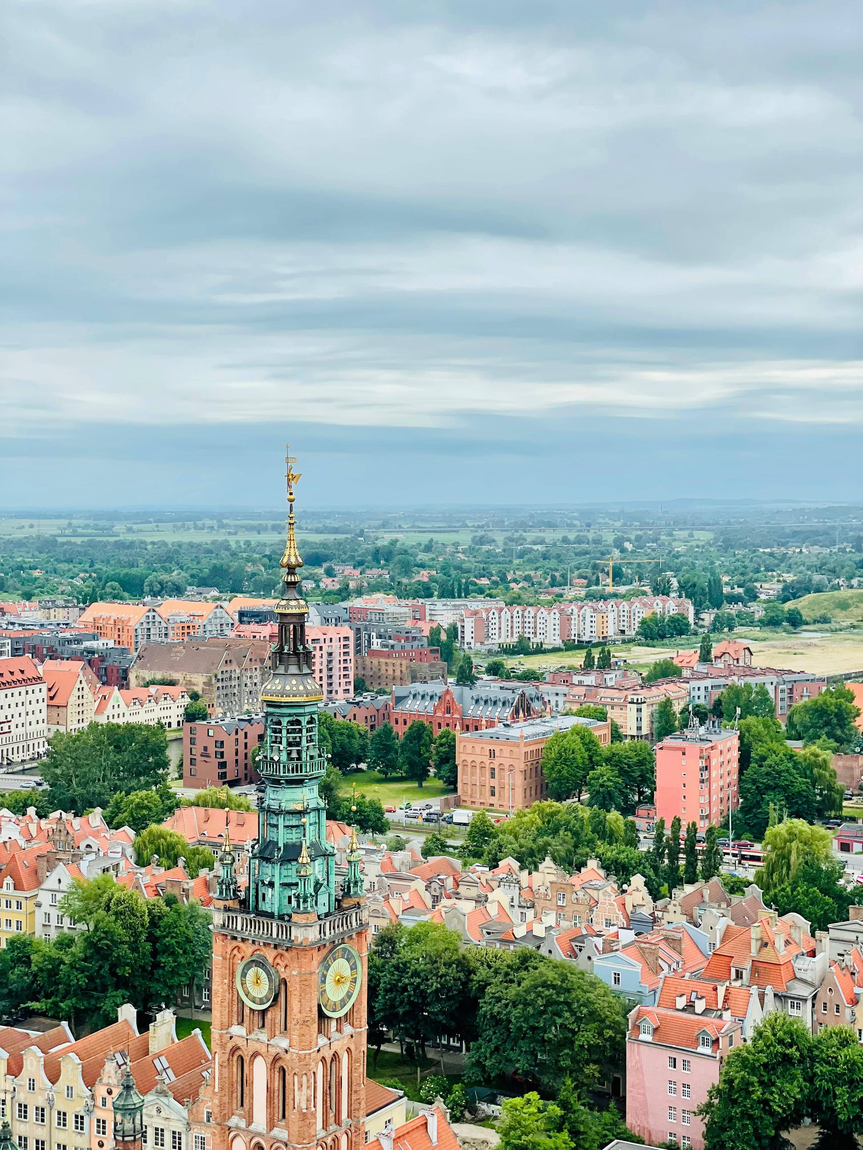 Tower Viewpoint