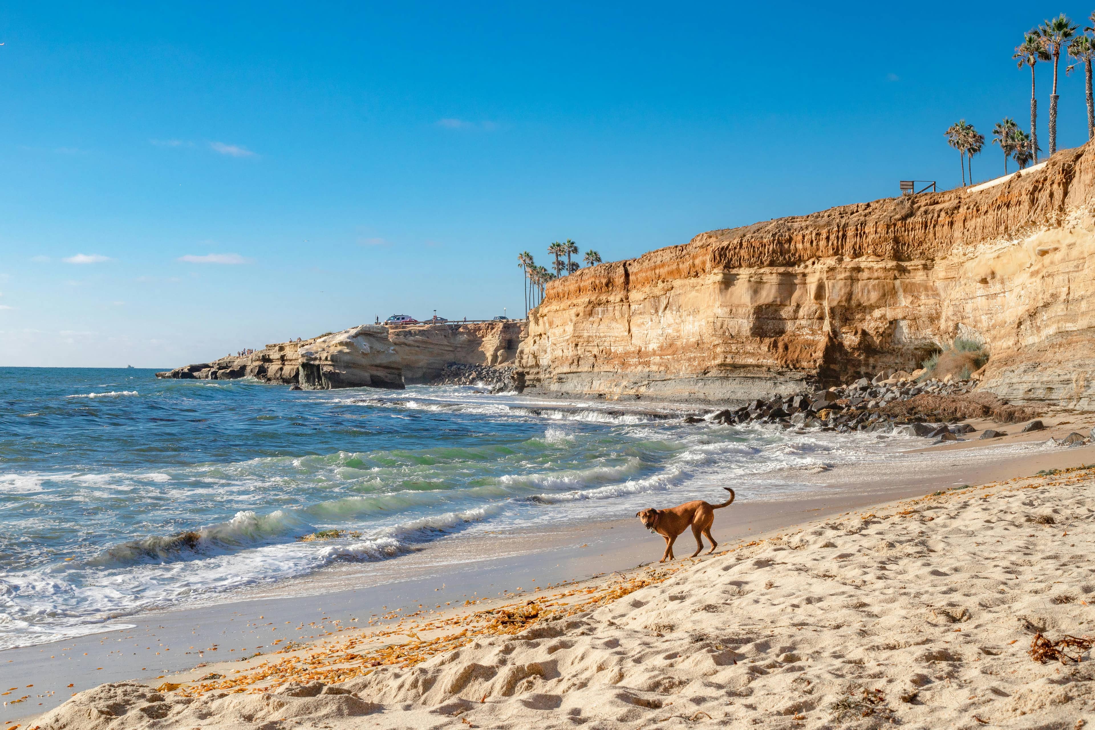 Scenic Beach Strolls