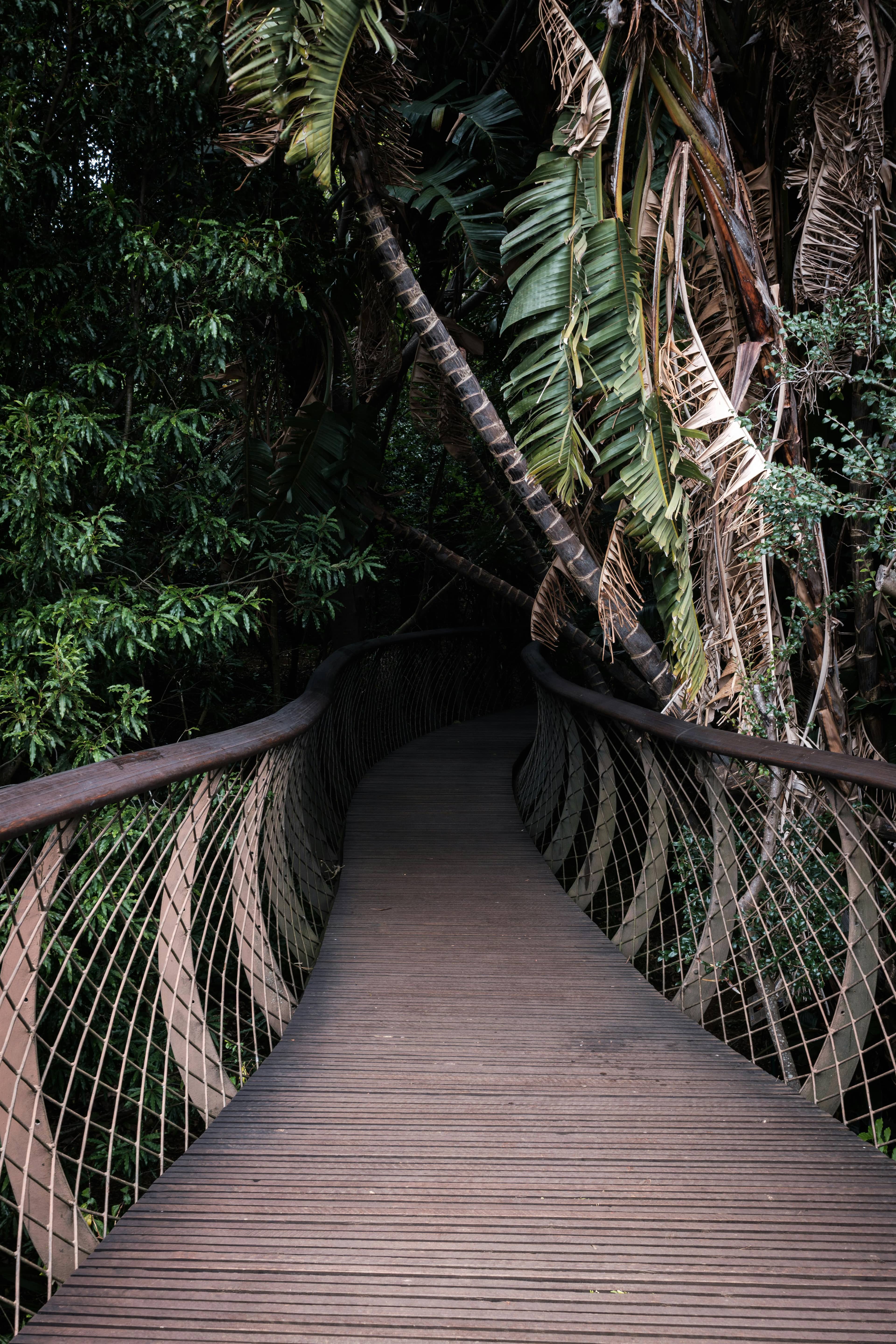 Boardwalk & Dirt Trails