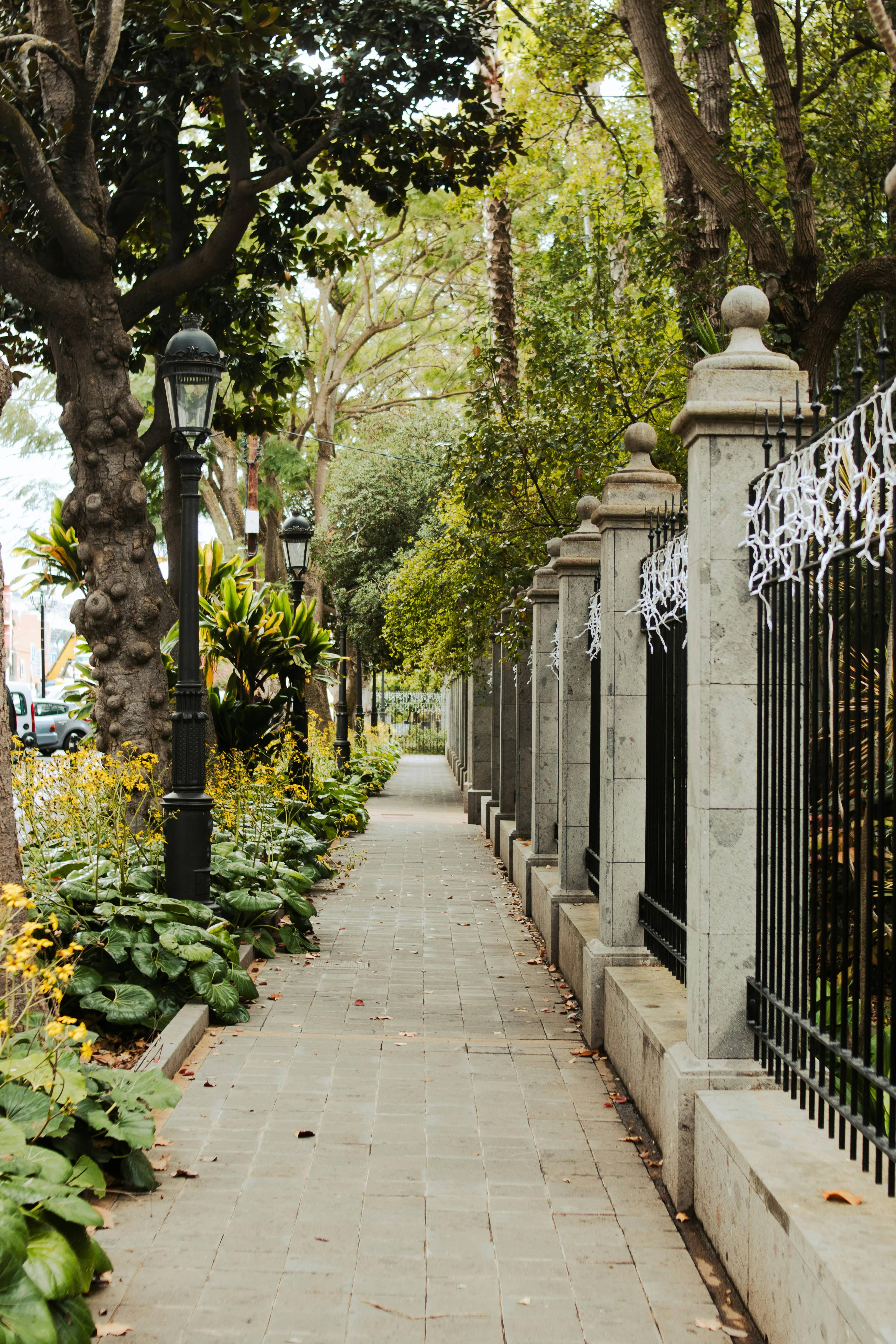 Serene Garden Paths