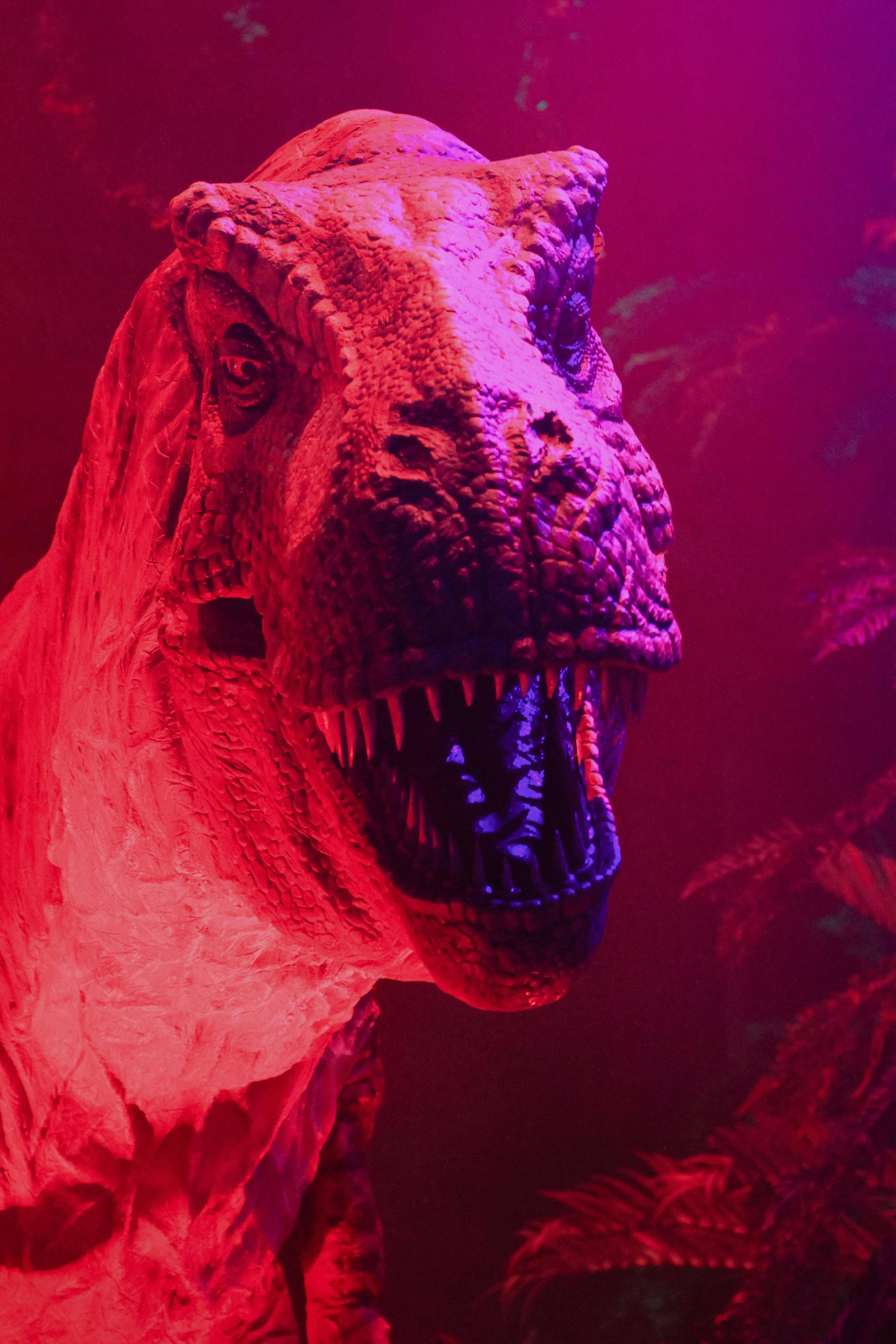 Impressive Dinosaur Park