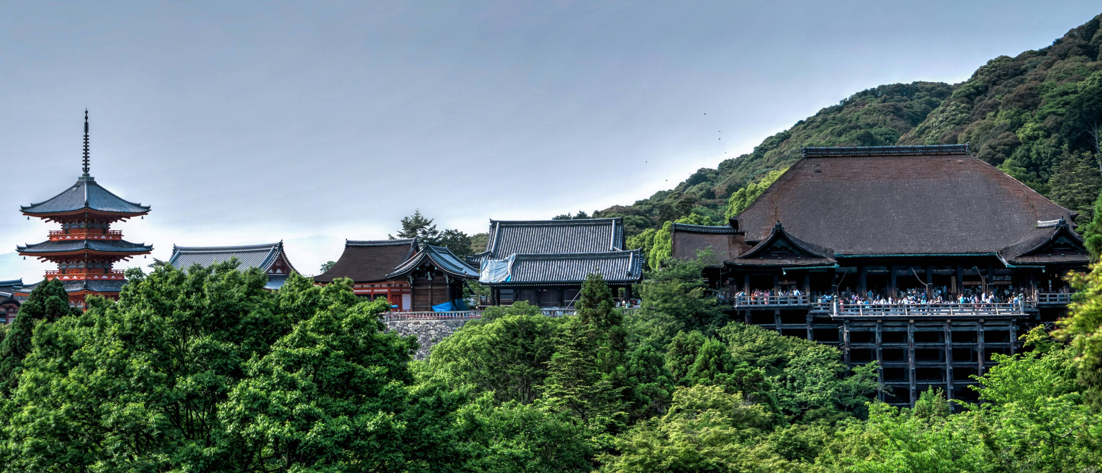 Peaceful Rural Scenery