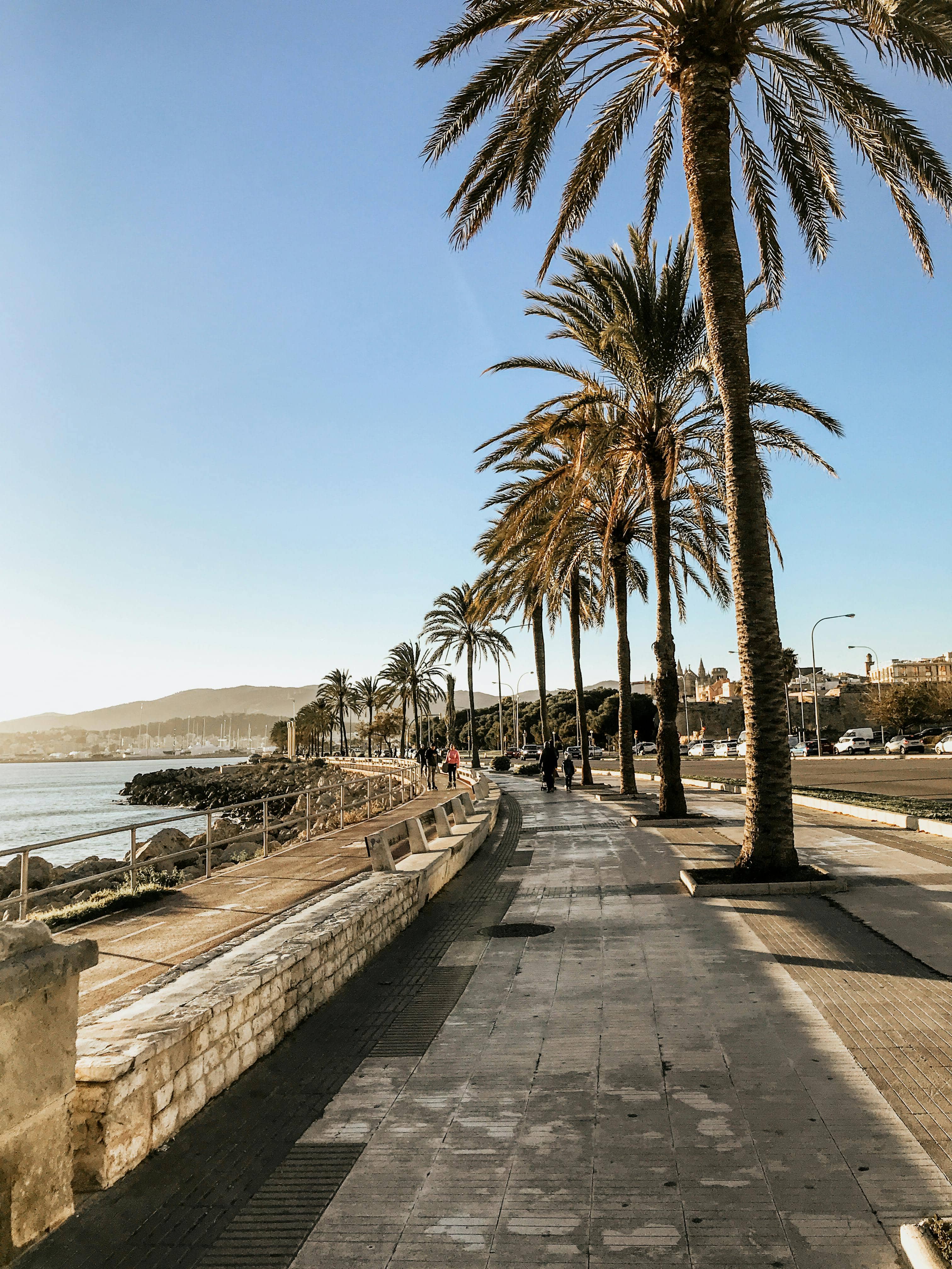 Coastal Stroll