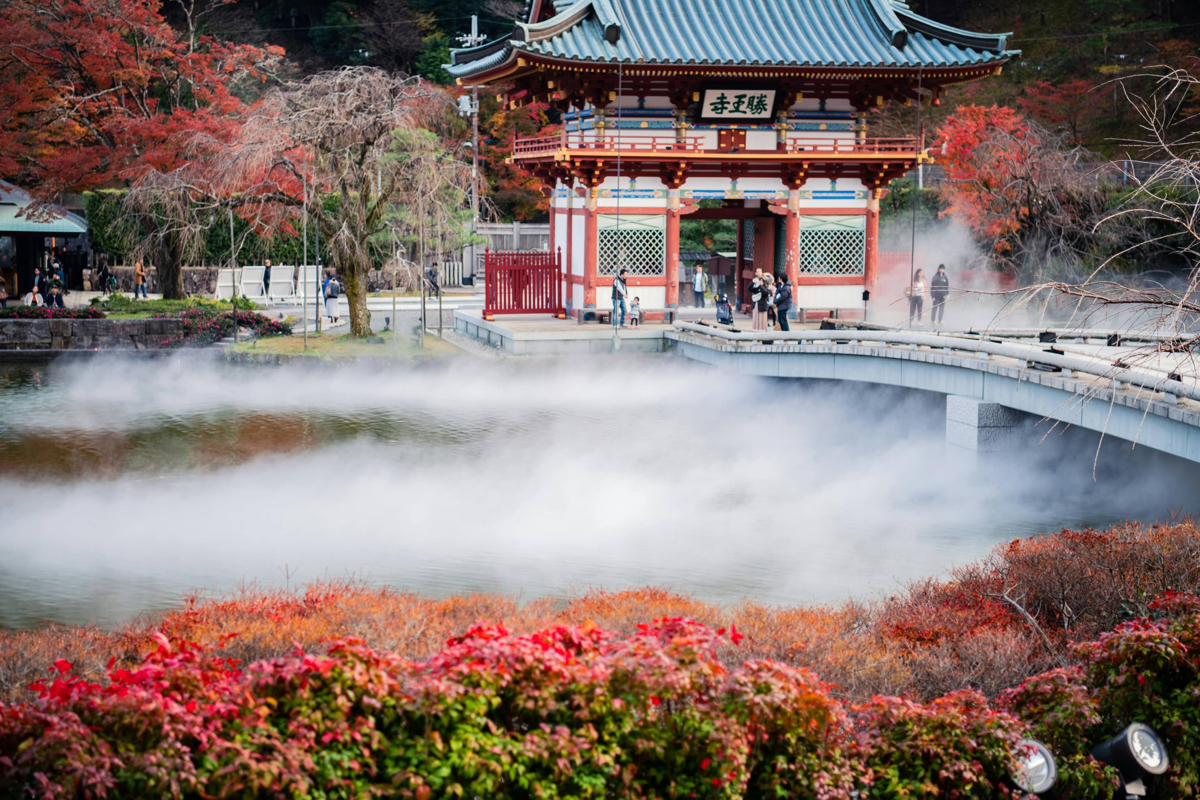 Autumn Foliage