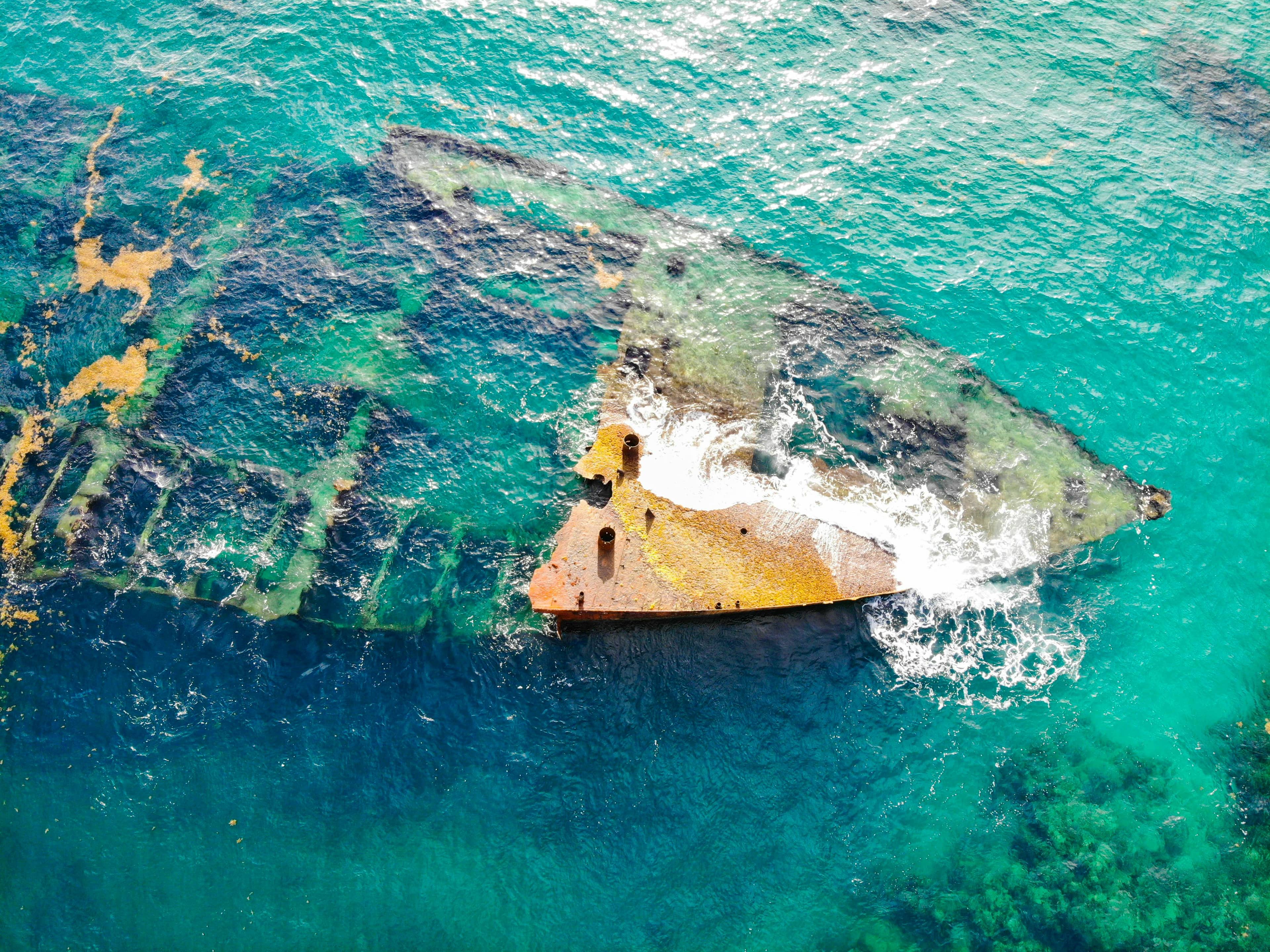 Abundant Marine Life