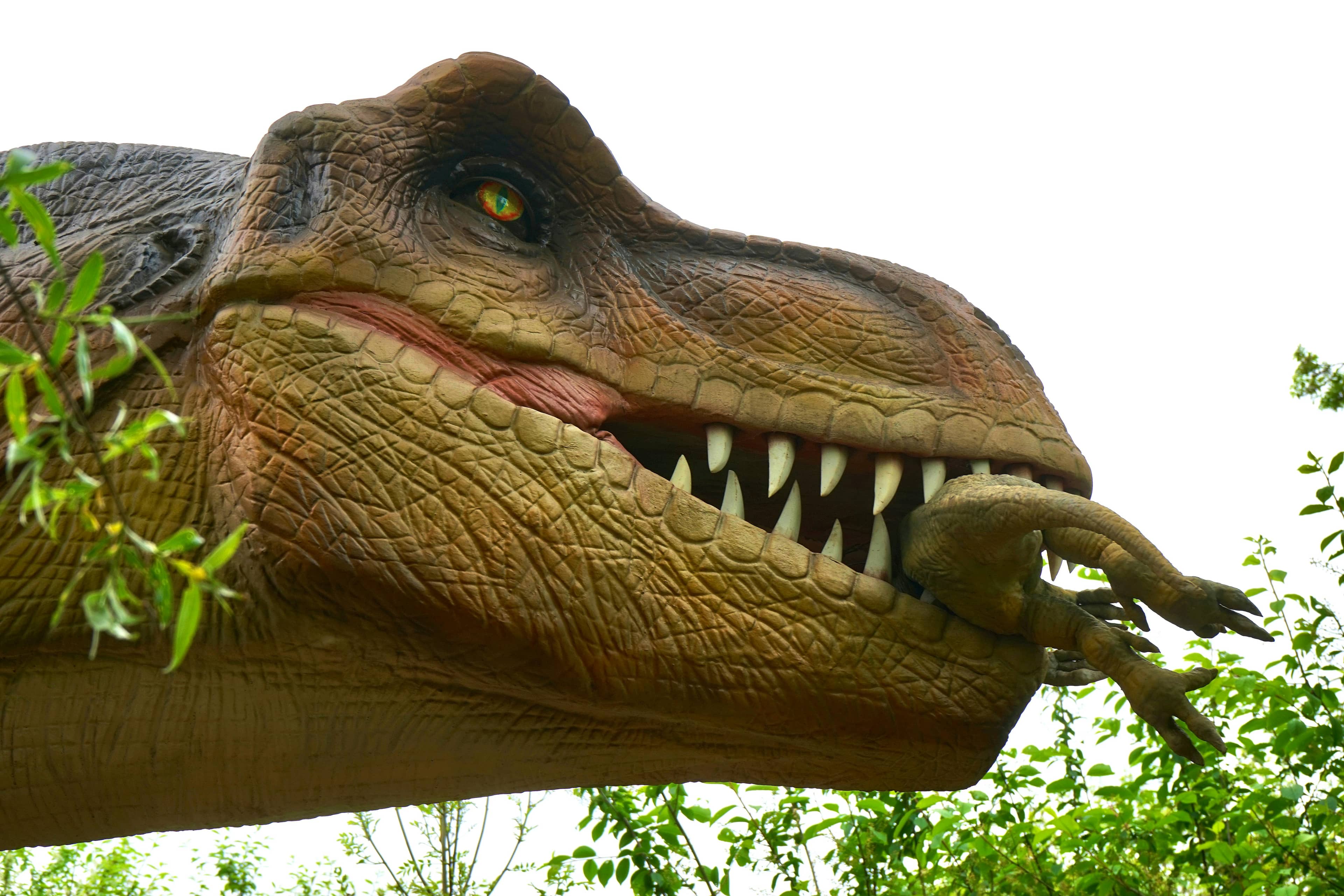 Dinosaur Exhibit