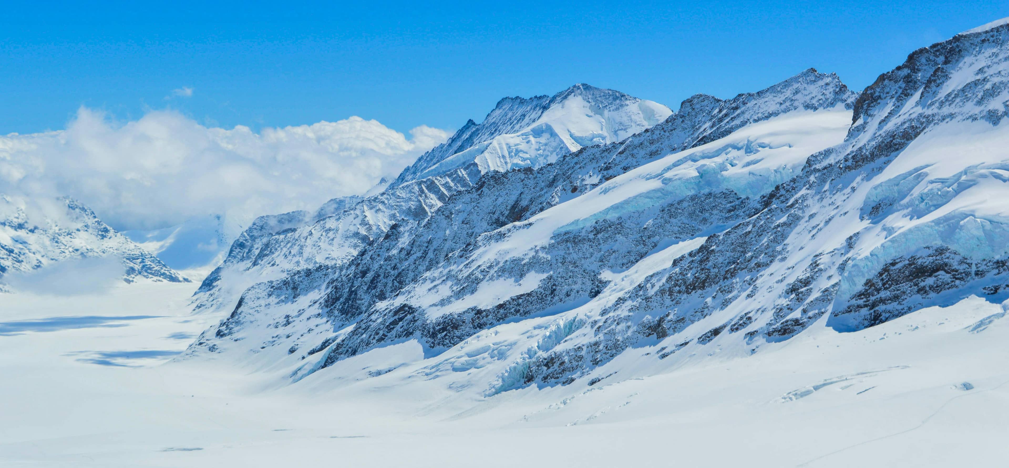Alpine Sensation
