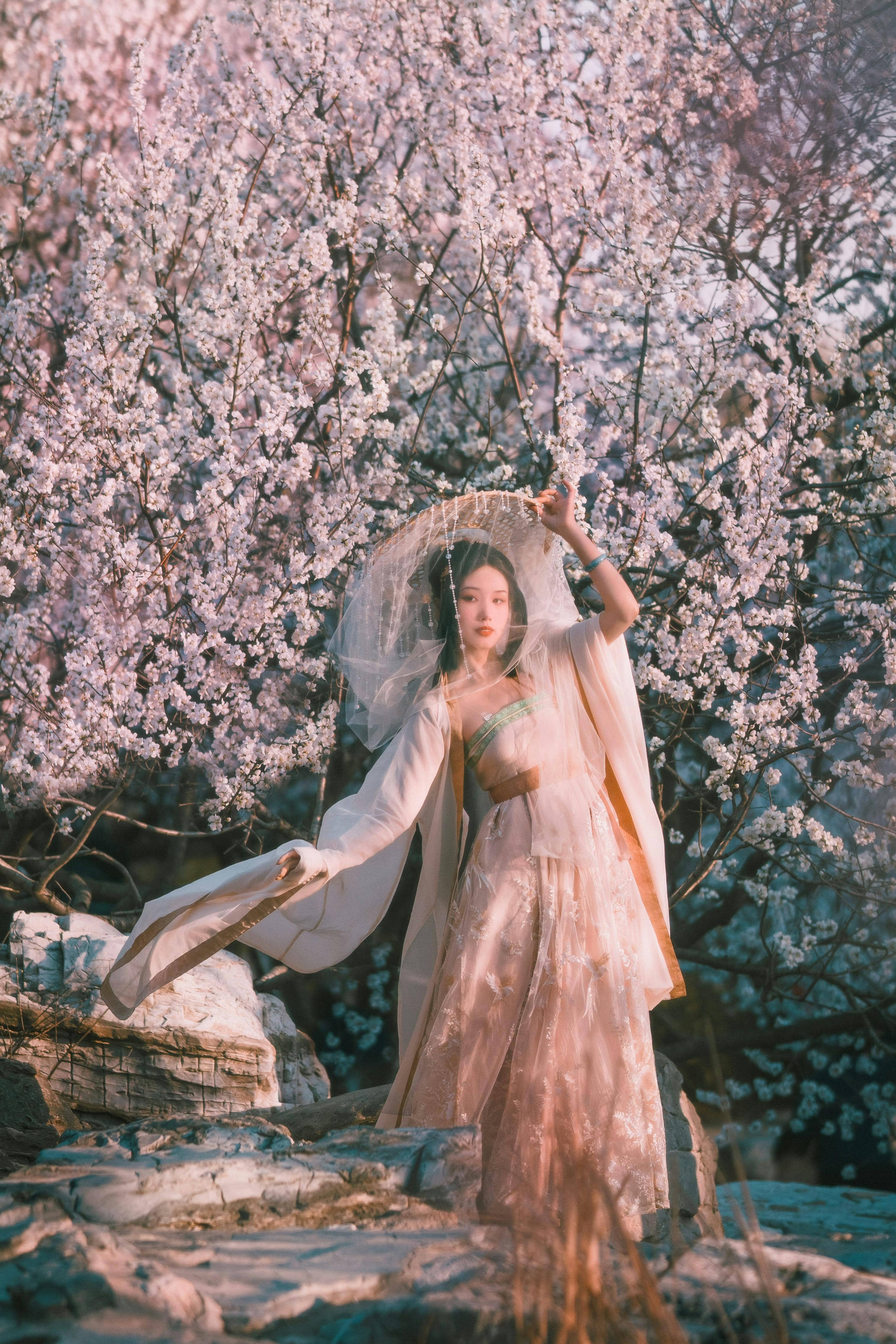 Hanfu Photoshoot