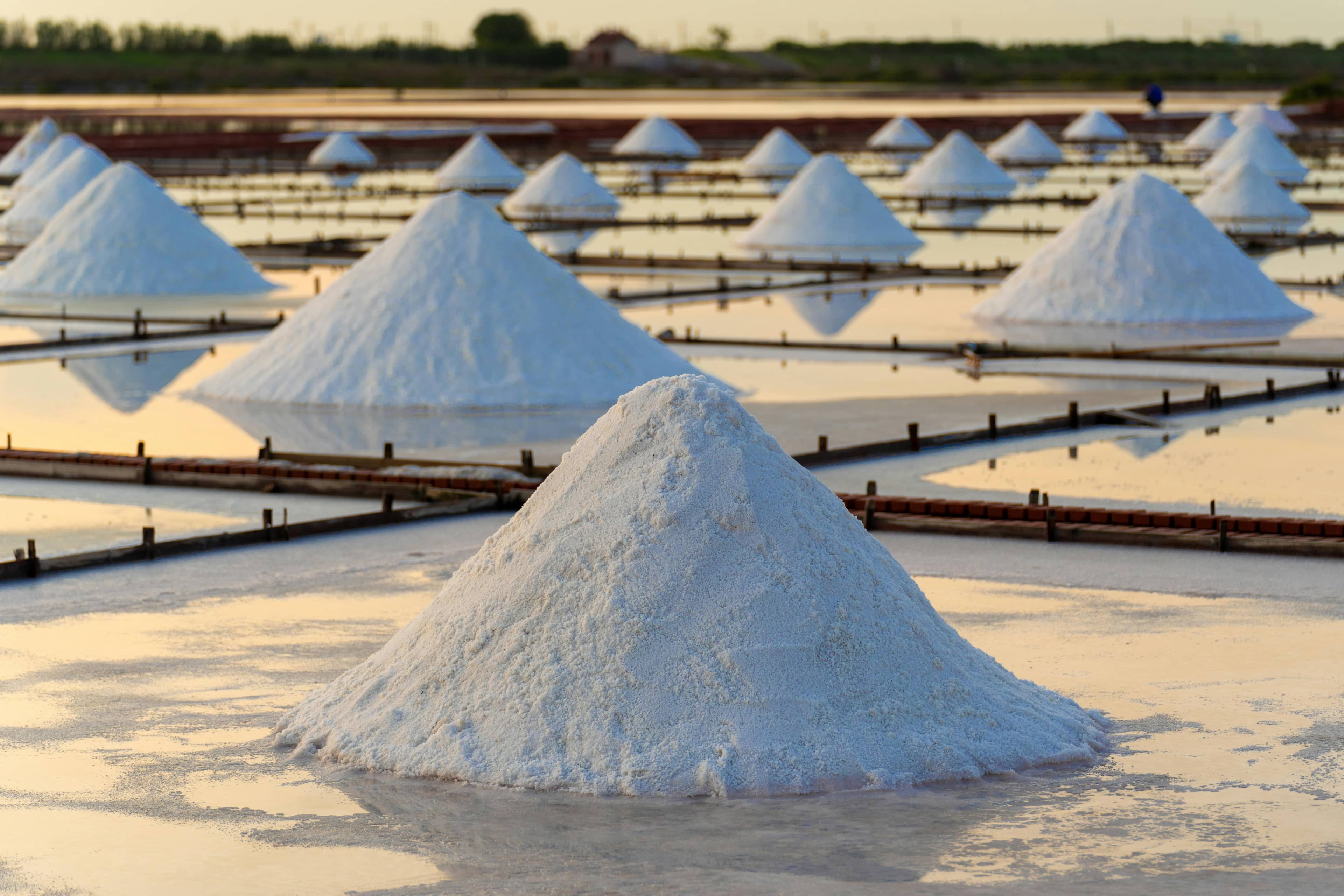 Salt Harvesting Tour