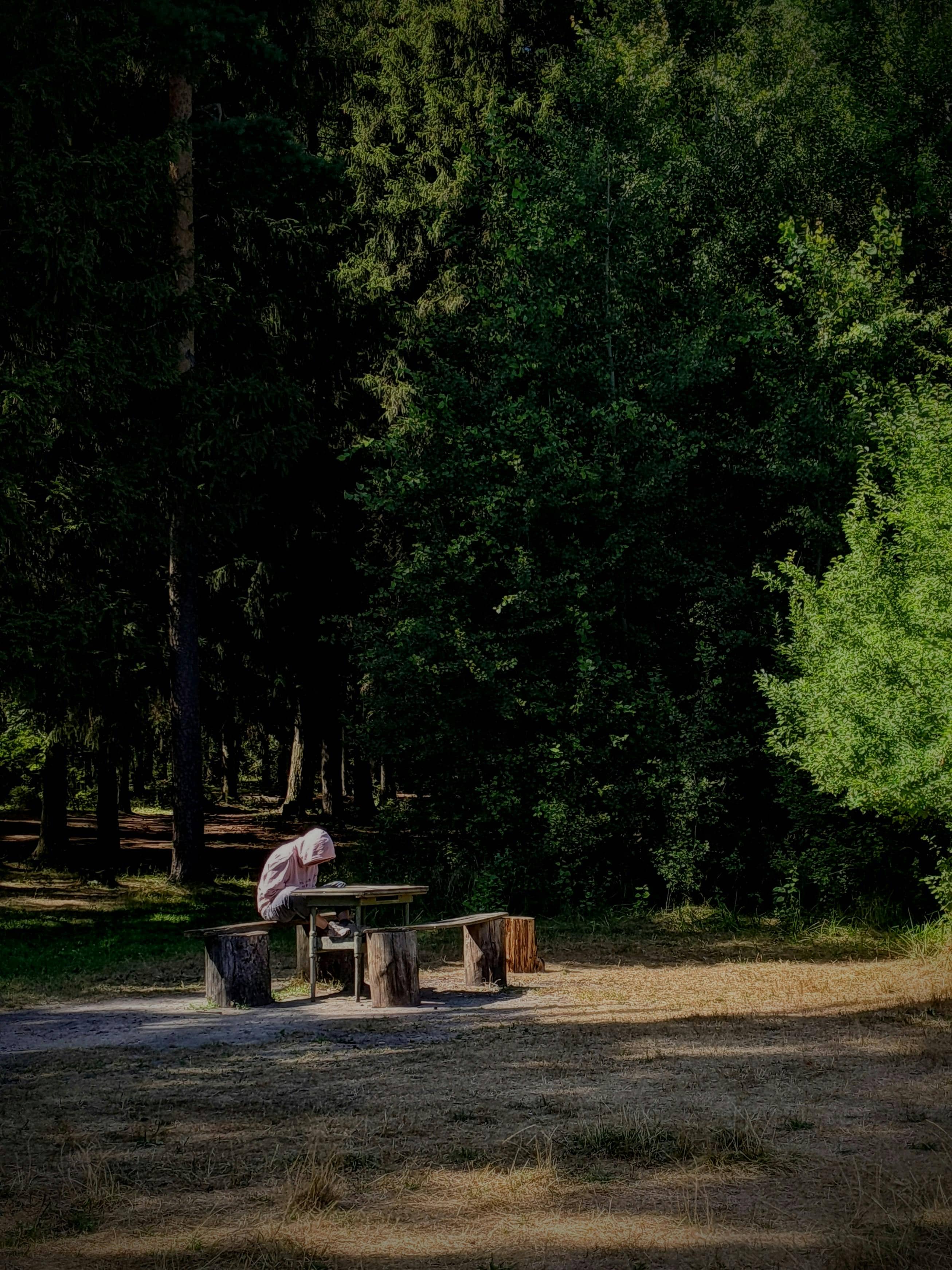 Picnic Spots