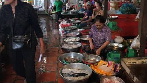 Street Food Delights