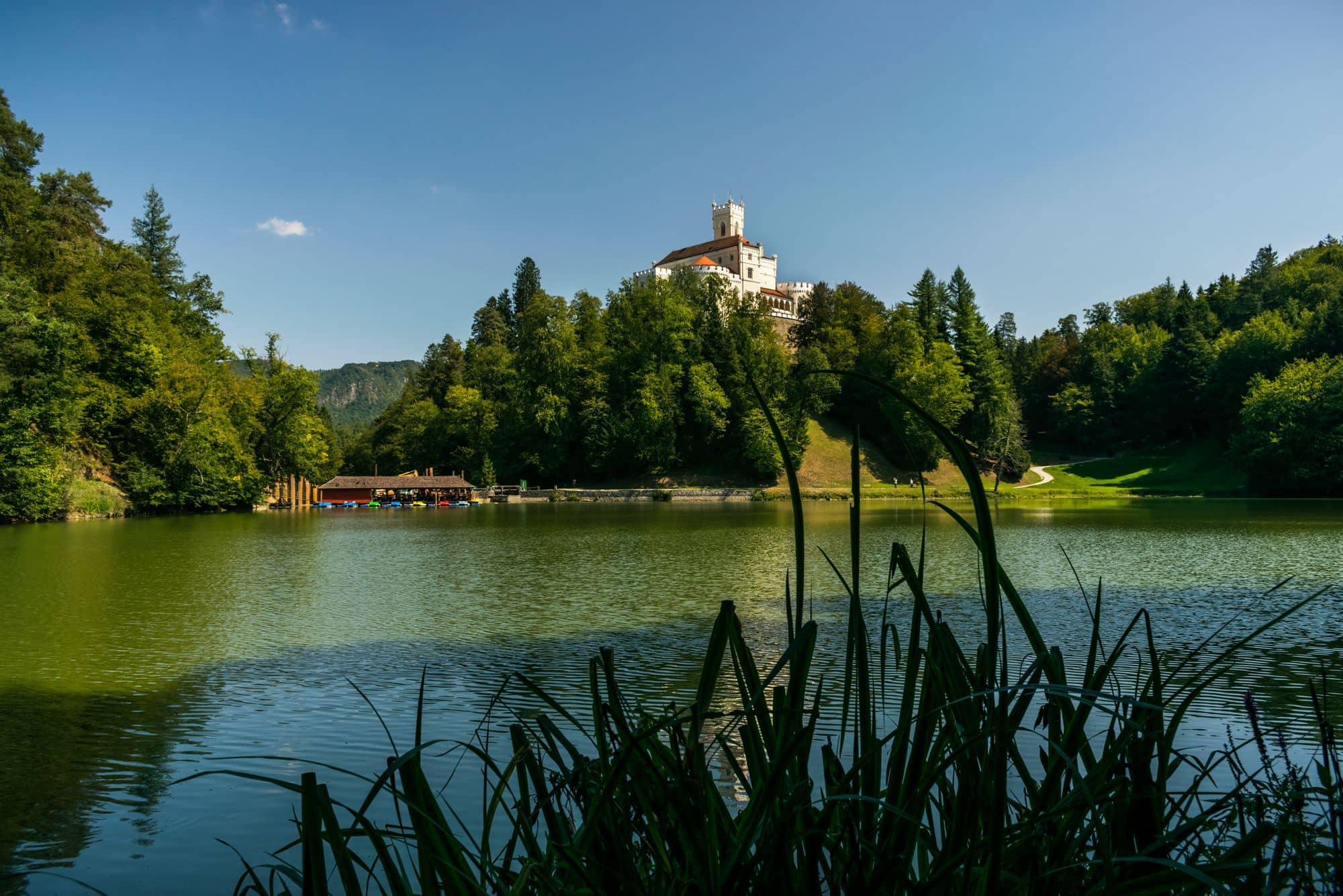 Lake and Park Walk