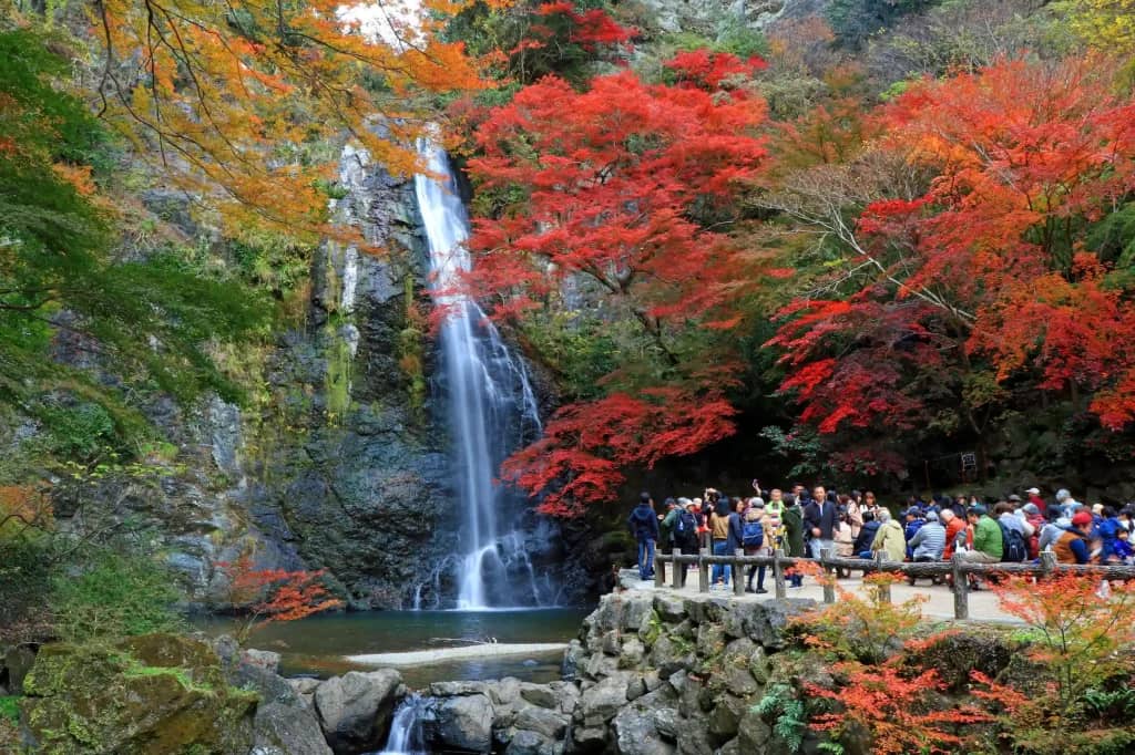 Takimichi Hiking Course