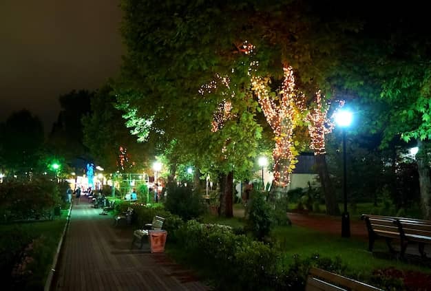 Enchanting Evening Ambiance