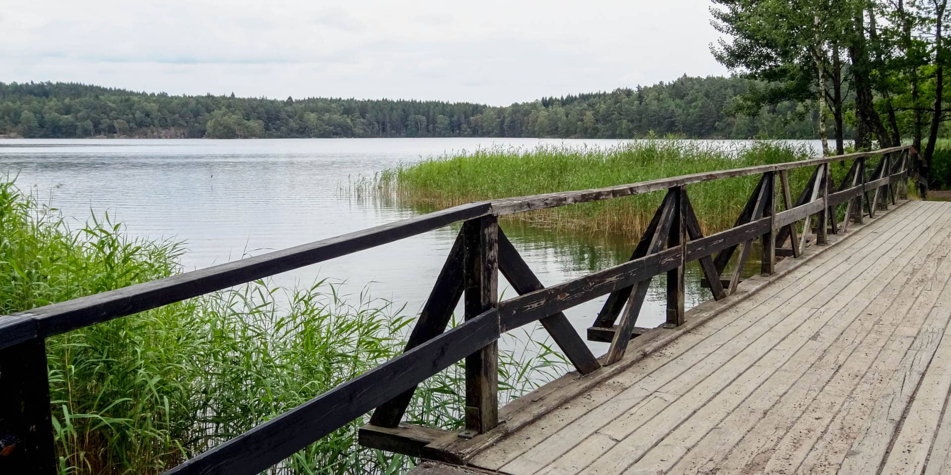 Wooden Boardwalks