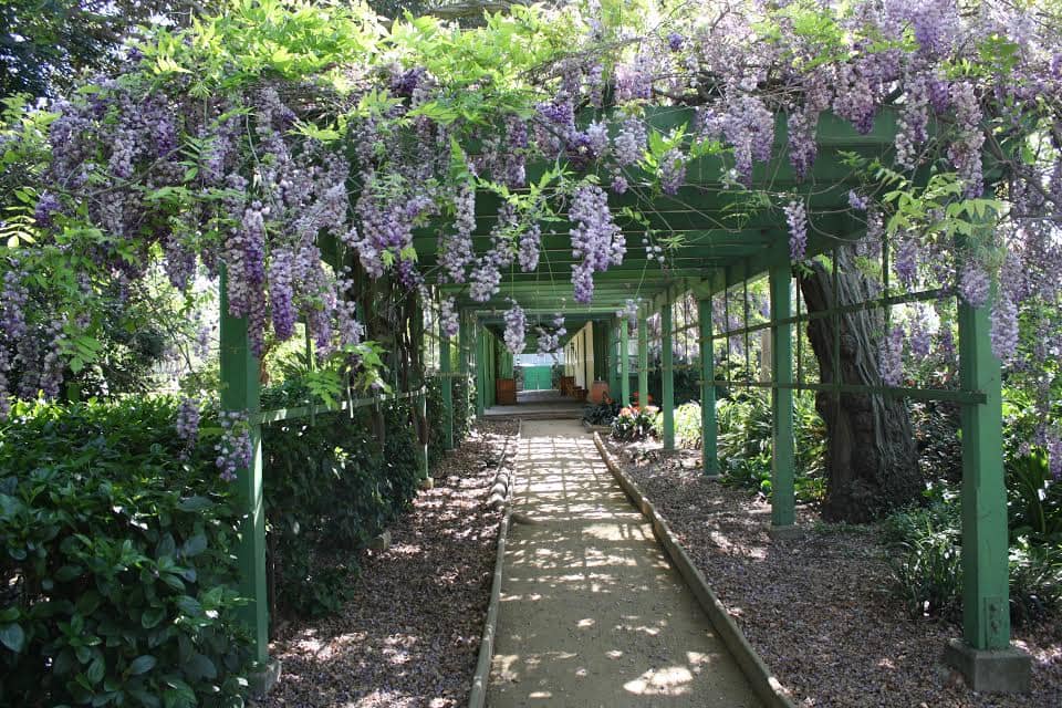 Lush Gardens