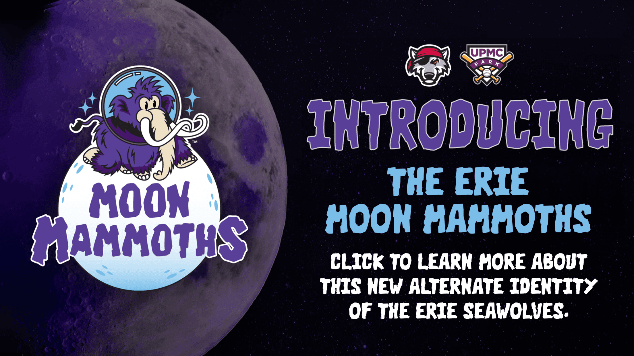 Moon Mammoth Night