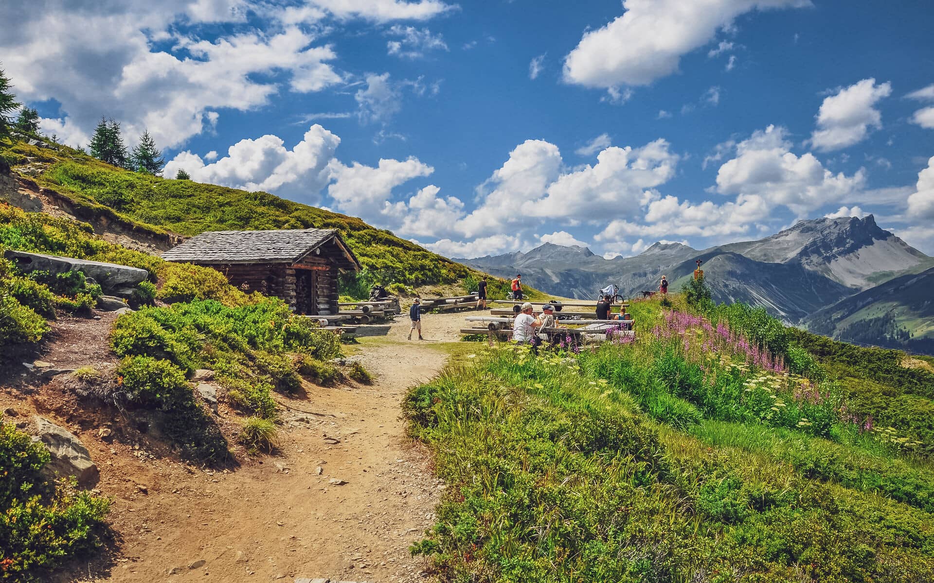 Rinerhorn to Sertig Trail