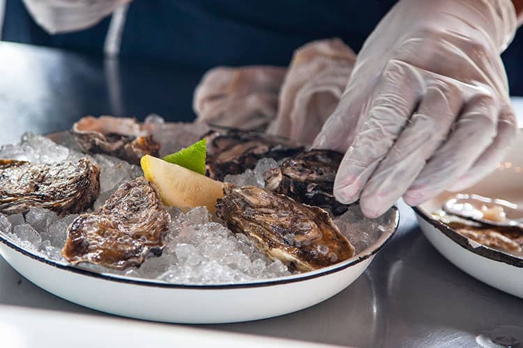 Freshly Shucked Oysters