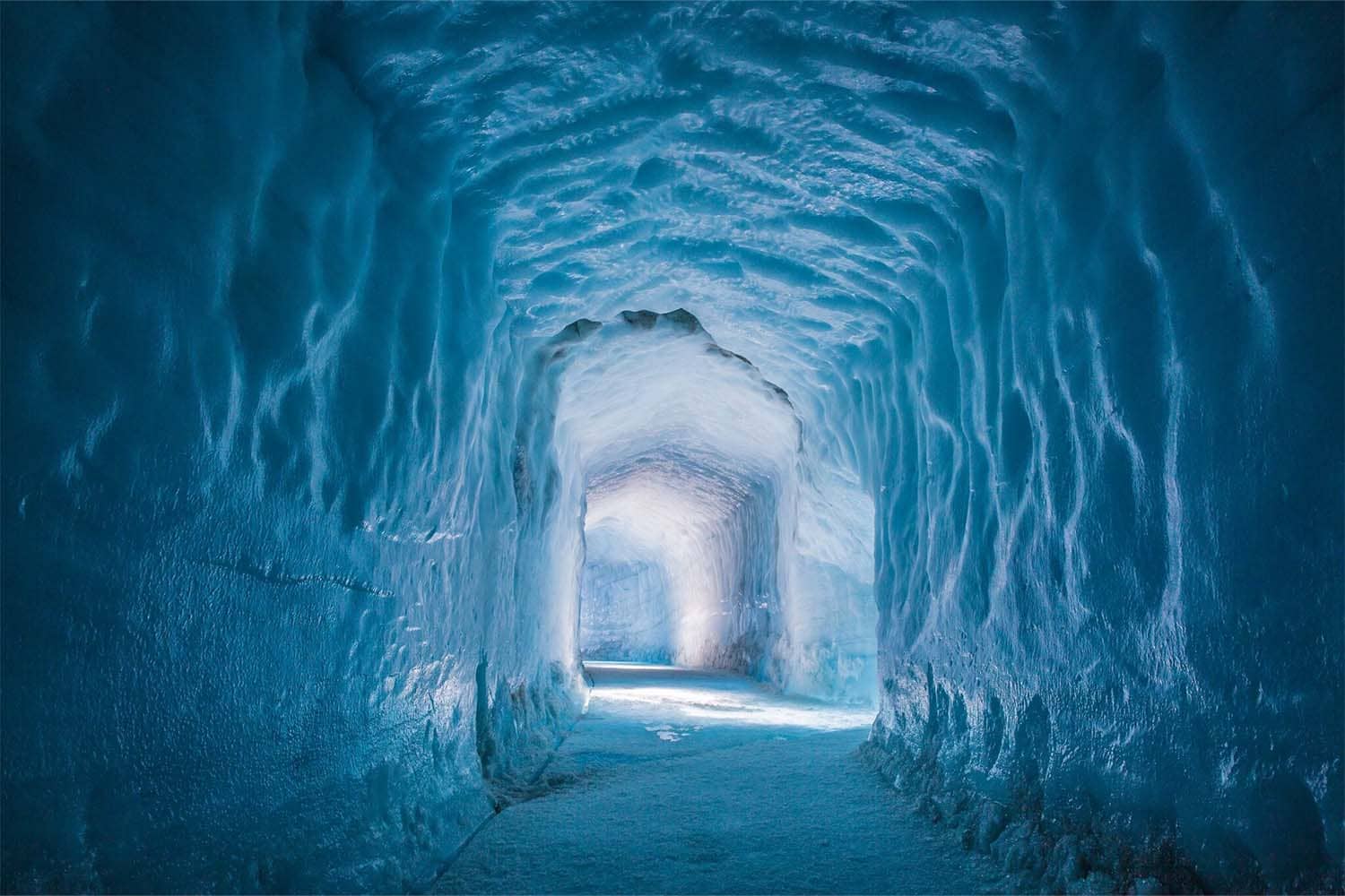Glacier Adventures
