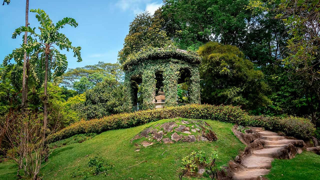 Orchidarium