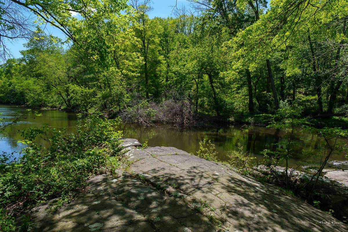 Dog Run