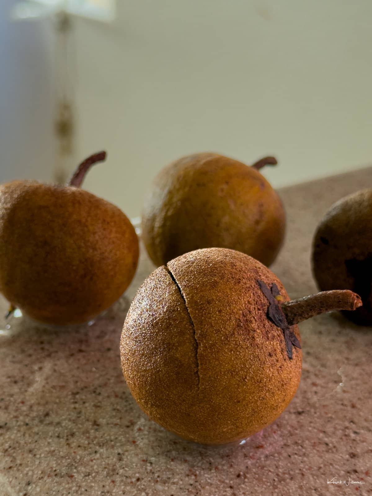 Corsican Cuisine