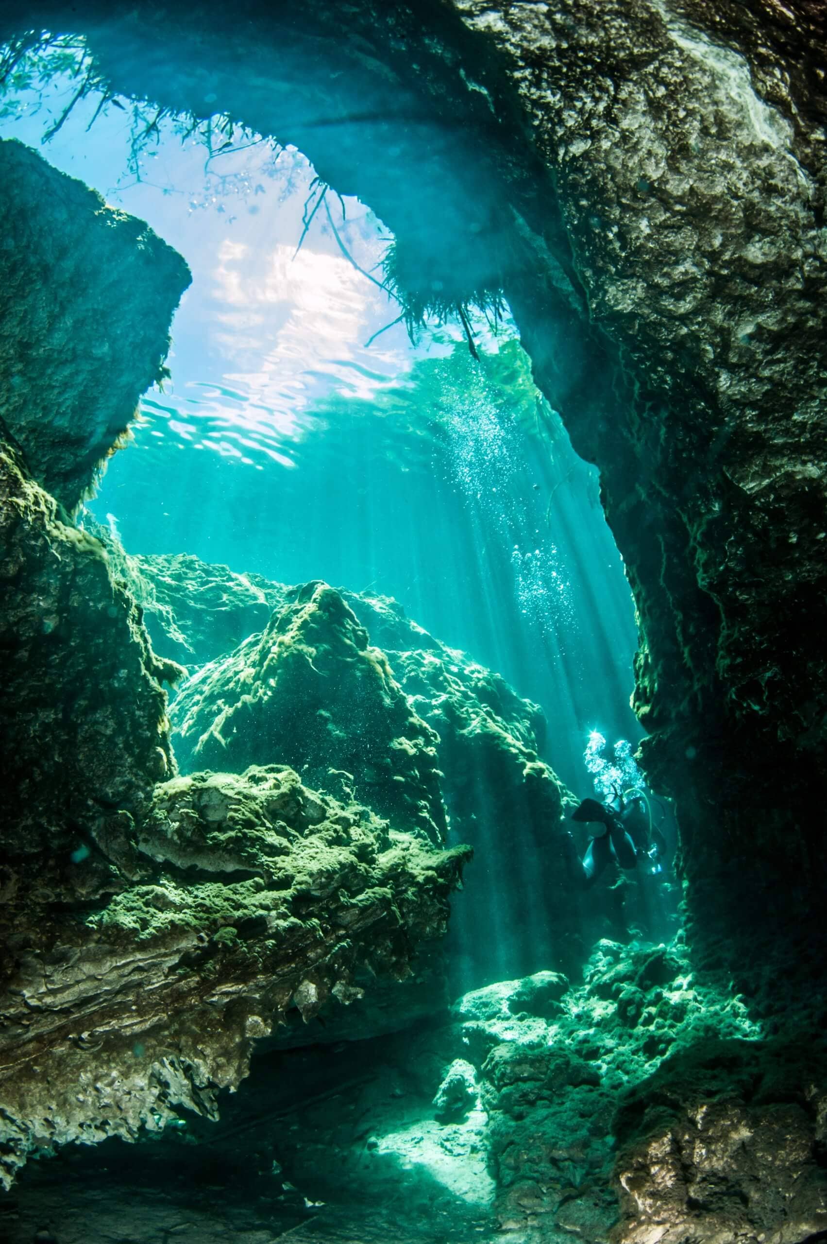 Explore the Sea Connection Tunnel