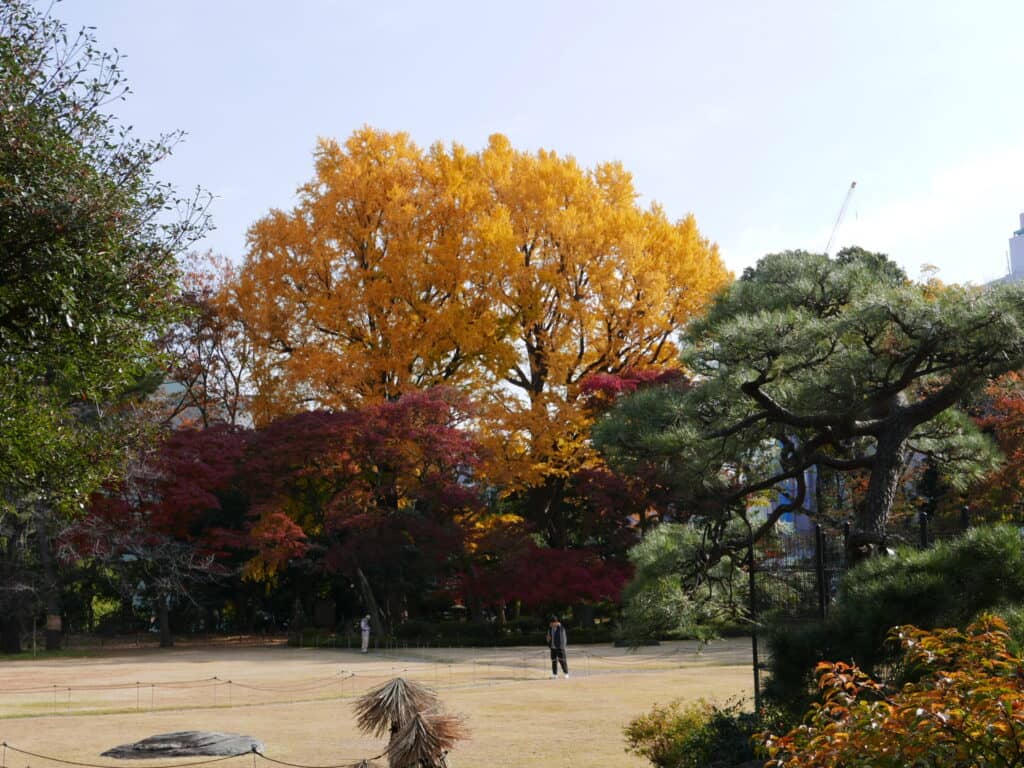 Expansive Gardens