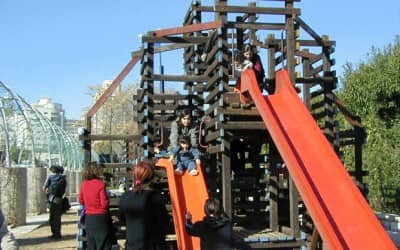 Vibrant Kids' Playgrounds