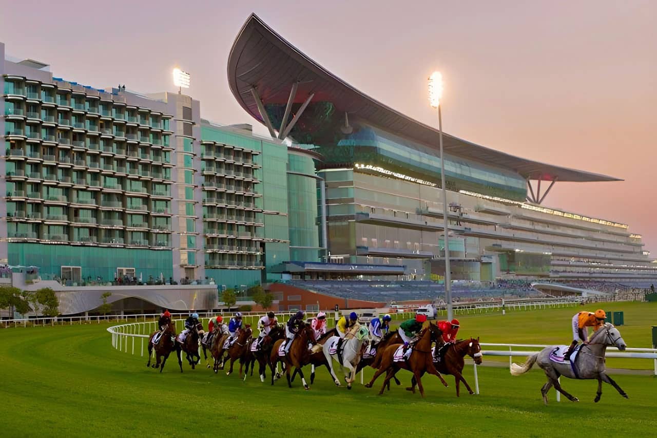 Thoroughbred Racing Action