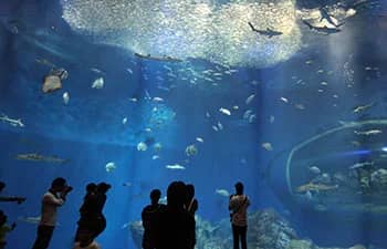 Underwater Tunnel