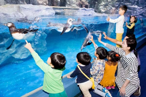 Penguin & Seal Exhibit