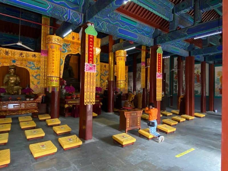 Tranquil Courtyards