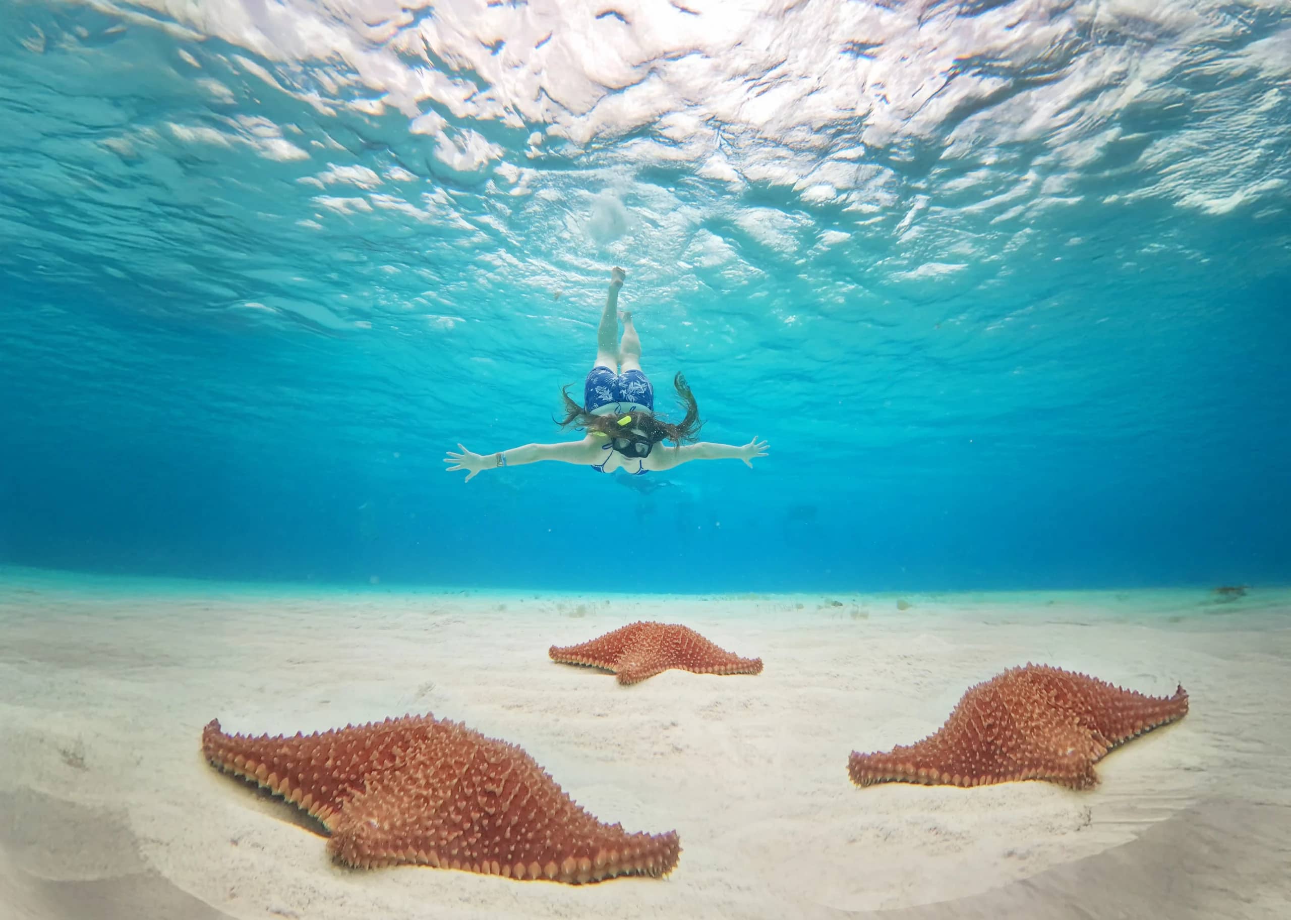 Starfish and Stingray Encounters